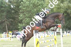 2019-09-01: Dantus H  bei Reitturnier in Güstrow