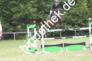 2019-09-01: Dantus H  bei Reitturnier in Güstrow