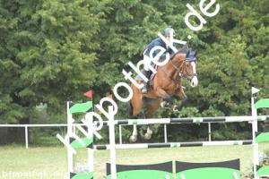 2019-09-01: Fajola  bei Reitturnier in Güstrow