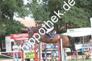 2019-09-01: Cornadina  bei Reitturnier in Güstrow