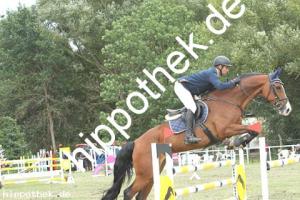 2019-09-01: Fajola  bei Reitturnier in Güstrow
