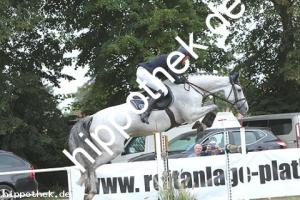 2019-09-01: Donna Lottchen  bei Reitturnier in Güstrow