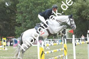 2019-09-01: Donna Lottchen  bei Reitturnier in Güstrow