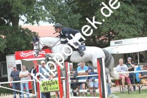 2019-09-01: Donna Lottchen  bei Reitturnier in Güstrow