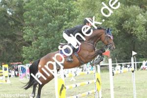 2019-09-01: Cornadina  bei Reitturnier in Güstrow