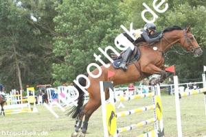2019-09-01: Lusandero  bei Reitturnier in Güstrow