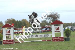 2019-09-15:  bei Reitturnier in Crivitz