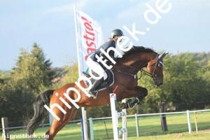 2019-09-28: Champ  bei Reitturnier in Malchow