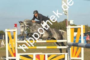 2019-09-28: Loreley  bei Reitturnier in Malchow