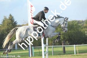 2019-09-28: Don Carlos  bei Reitturnier in Malchow