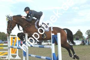 2019-09-28: Qirma  bei Reitturnier in Malchow