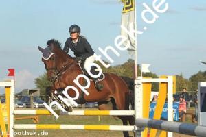 2019-09-28: Champ  bei Reitturnier in Malchow