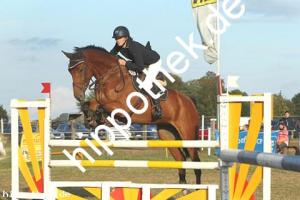 2019-09-28: Castella  bei Reitturnier in Malchow