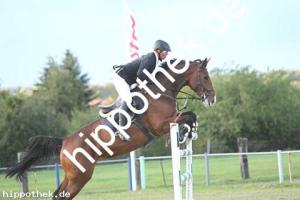 2019-09-28: Chelane  bei Reitturnier in Malchow