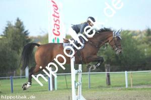 2019-09-28: Qirma  bei Reitturnier in Malchow