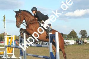 2019-09-28: Castella  bei Reitturnier in Malchow