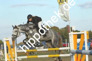 2019-09-28: Letizia  bei Reitturnier in Malchow