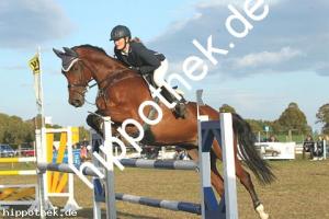 2019-09-28: Champ  bei Reitturnier in Malchow