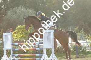 2019-09-28: Castella  bei Reitturnier in Malchow