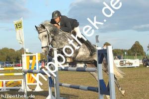 2019-09-28: Loreley  bei Reitturnier in Malchow