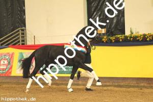 2019-11-09: v.Fürstenball - Zonik  bei Körung  in Redefin