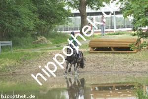 2020-06-07: Askalon  bei Gelände  in Hohen Luckow