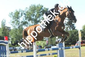 2020-07-26: Hero  bei Reitturnier in Blowatz