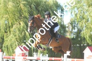 2020-07-26: Hero  bei Reitturnier in Blowatz