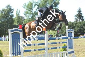 2020-07-26: Alhaya  bei Reitturnier in Blowatz