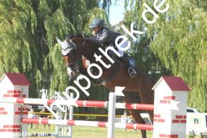 2020-07-26: Quincy  bei Reitturnier in Blowatz