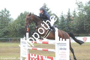 2020-09-27: Sternenfee M  bei Reitturnier in Malchow