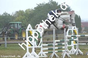 2020-09-27: La Sanna  bei Reitturnier in Malchow