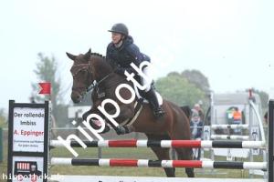 2020-09-27: Sternenfee M  bei Reitturnier in Malchow