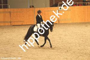 2020-10-10: Nice in Black  bei Dressur in Güstrow Cavallo Arena
