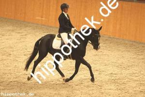 2020-10-10: Nice in Black  bei Dressur in Güstrow Cavallo Arena