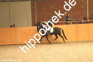2020-10-10: Nice in Black  bei Dressur in Güstrow Cavallo Arena