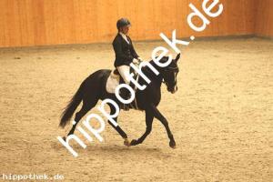 2020-10-10: Nice in Black  bei Dressur in Güstrow Cavallo Arena