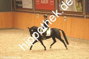 2020-10-10: Nice in Black  bei Dressur in Güstrow Cavallo Arena