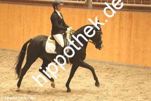 2020-10-10: Nice in Black  bei Dressur in Güstrow Cavallo Arena