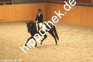 2020-10-10: Nice in Black  bei Dressur in Güstrow Cavallo Arena