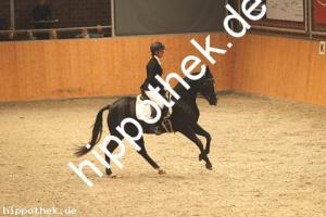 2020-10-10: Nice in Black  bei Dressur in Güstrow Cavallo Arena