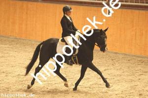 2020-10-10: Nice in Black  bei Dressur in Güstrow Cavallo Arena
