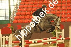 2021-02-24: O-Chadischa  bei Springpferde in Redefin