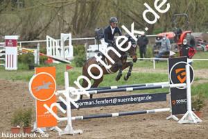 2021-05-01: Queo II  bei Springpferde in Spoitgendorf