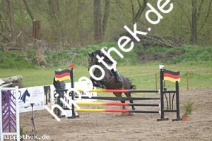 2021-05-01: Dimara  bei Springpferde in Spoitgendorf