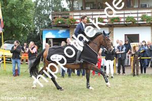 2021-08-01:  bei Reitturnier in Blowatz