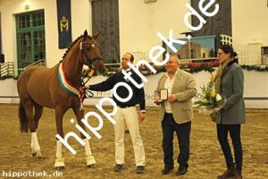 2021-12-11: v.Vitalis ad Fürst Romancier  bei Körung Springen in Redefin