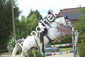 2022-06-14: Georginia  bei Reitturnier in Neu Benthen