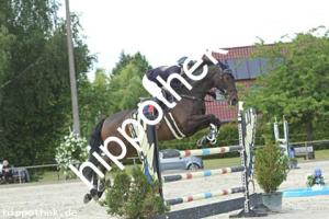 2022-06-14: Honeur S  bei Reitturnier in Neu Benthen