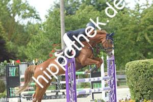 2022-06-14: Florida  bei Reitturnier in Neu Benthen